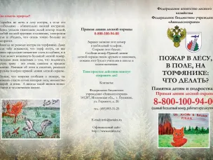 Пожар в лесу, в поле, на торфянике: что делать?